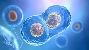 Méditation guidée : Renaissance et liberté